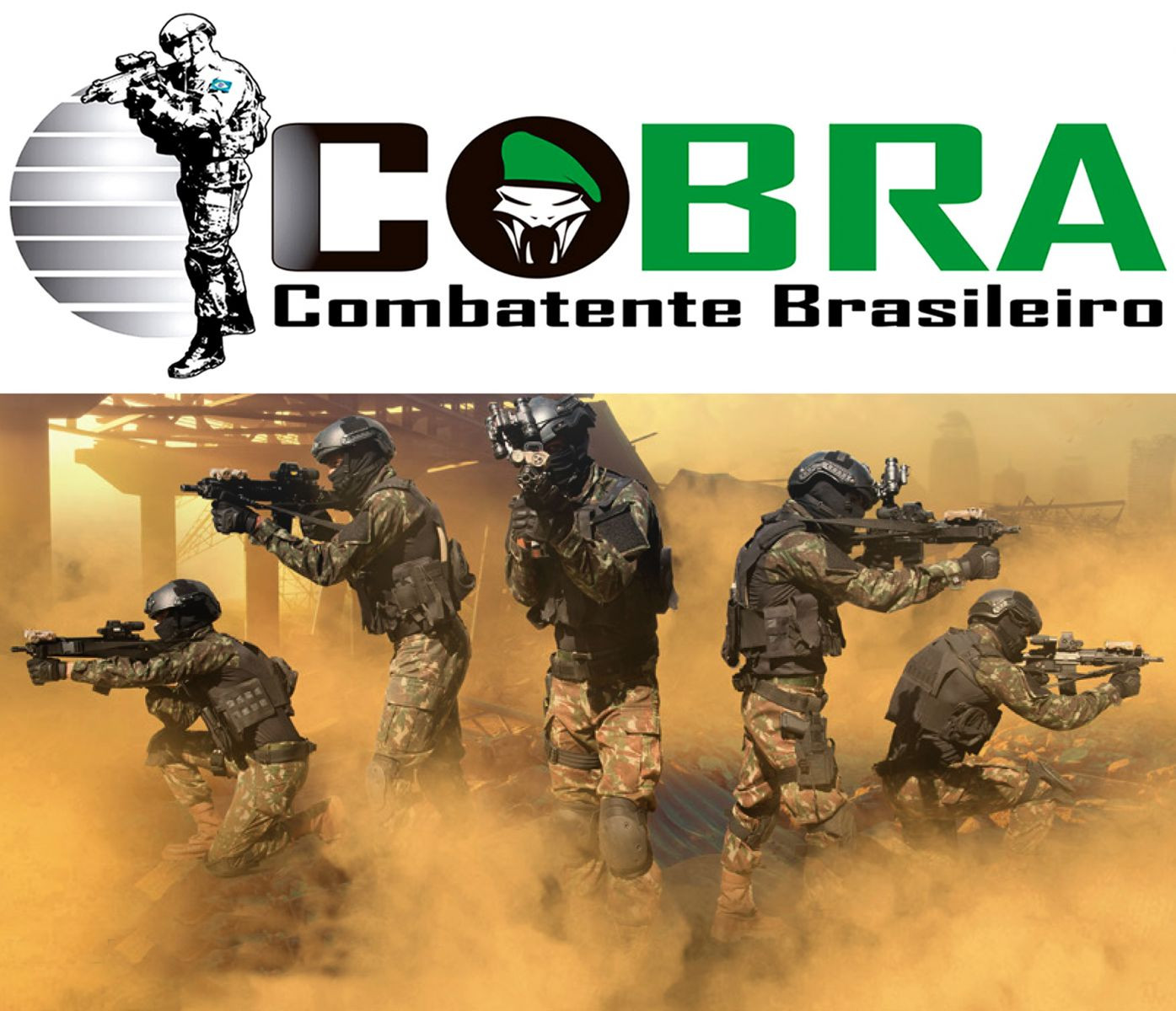 Projeto Combatente Brasileiro (COBRA)