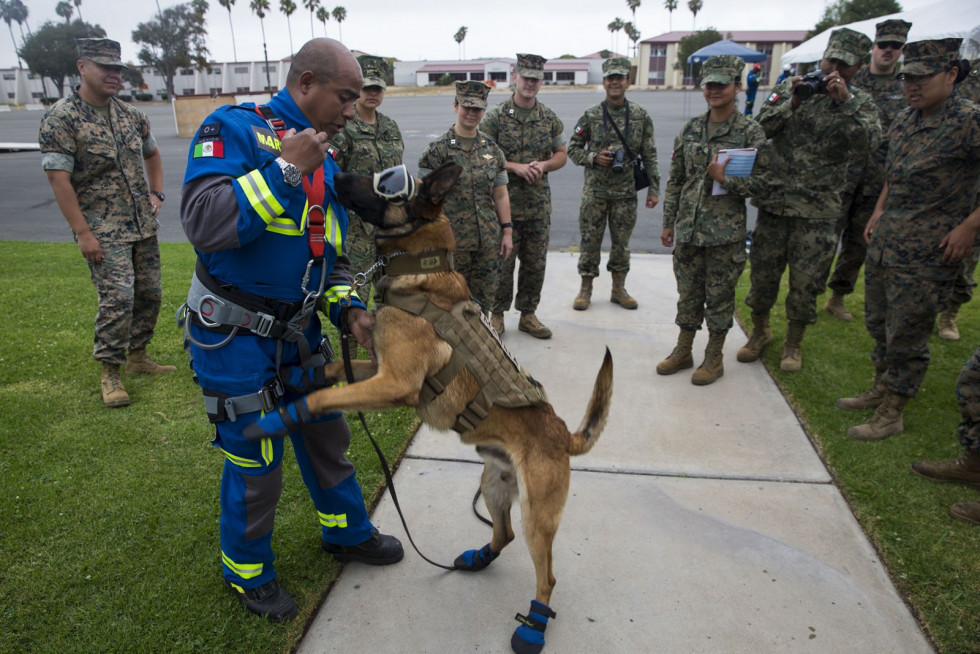 México lleva su experiencia en desastres humanitarios a Rimpac 2018. Fotos Robert G. Gavaldon