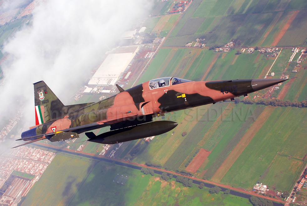 Los F-5 de la Fuerza Aérea de México. Foto: Sedena