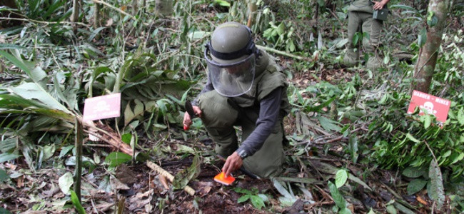 Actividades de desminado humanitario. Foto: Ministerio de Relaciones Exteriores del Perú