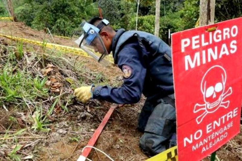 Soldado colombiano en labor de desminado. Foto: Ejército de Colombia.