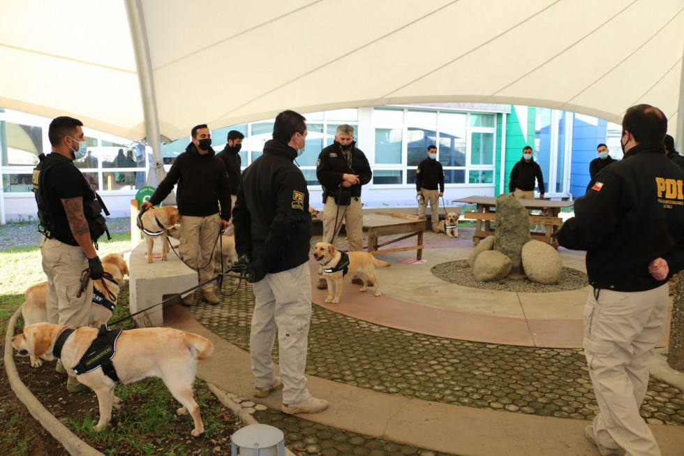 Los binomios realizan la capacitación en Valdivia, al sur del país. Foto: PDI