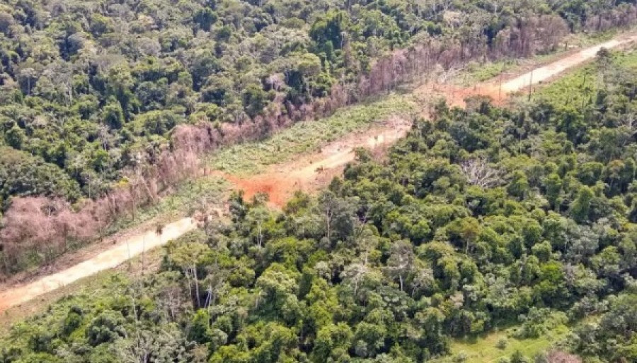 Pista de aterrizaje clandestina destruida en la región Huánuco. Foto: Comando Conjunto de las Fuerzas Armadas del Perú.