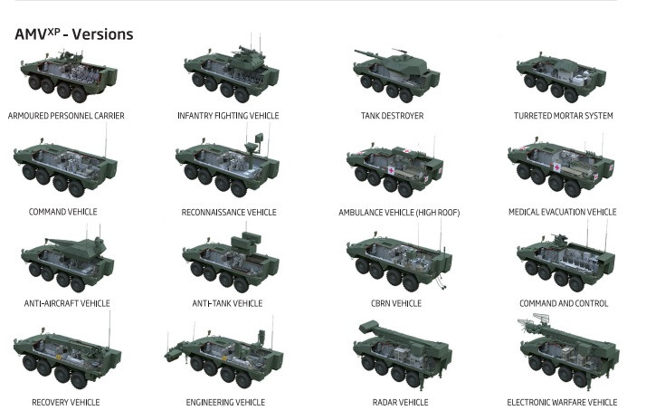 AMV XP variantes PatriaGroup