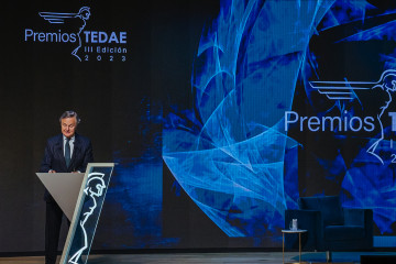 Premios Tedae