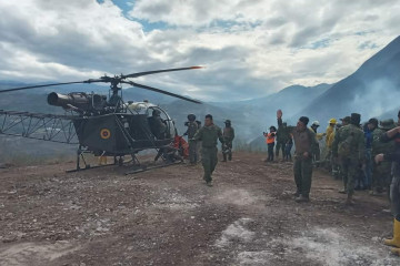 Bambi Ecuador. Foto Ejercito Ecuatoriano