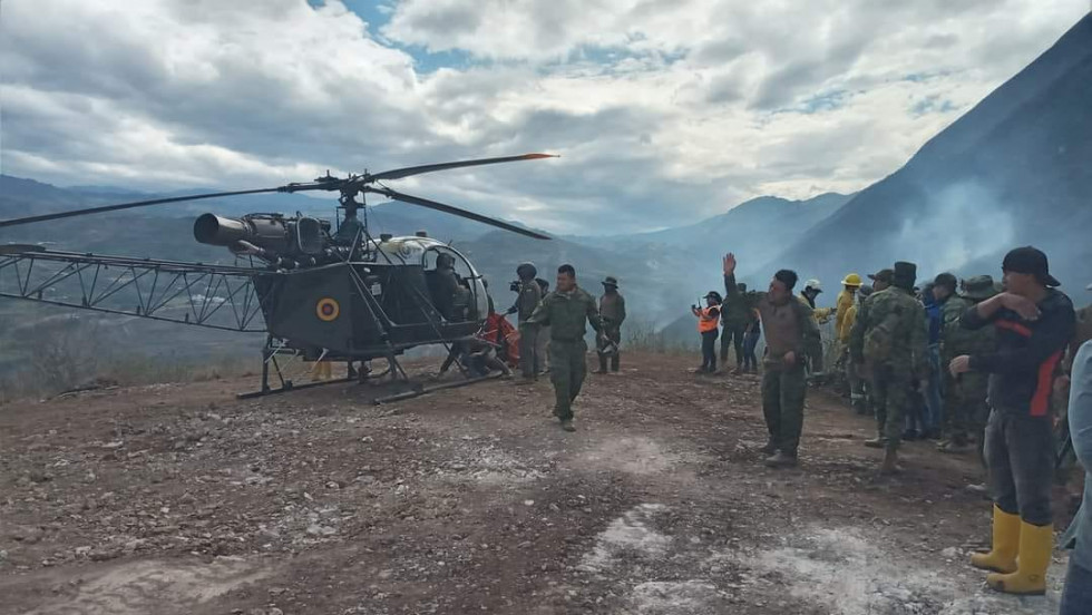 Bambi Ecuador. Foto Ejercito Ecuatoriano