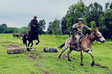 Efectivos en una de las actividadedes de la capacitación de homologación de procedimientos y técnicas con ganado mular Firma Ejército de Chile