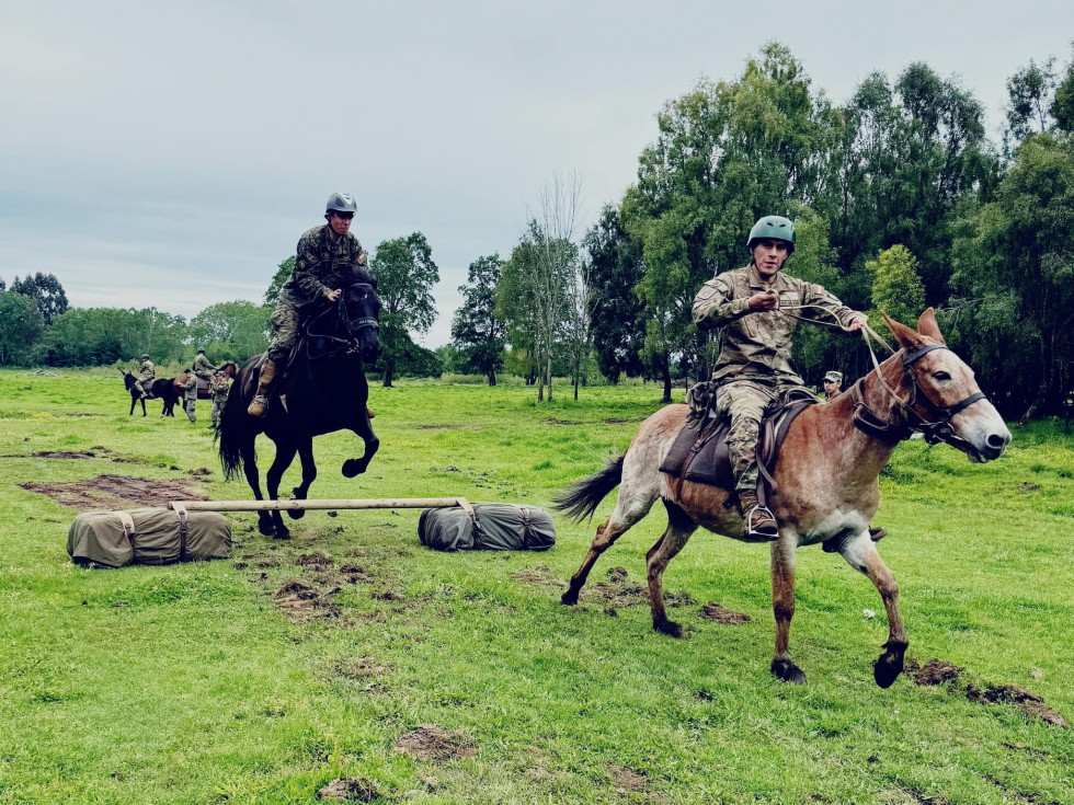 Efectivos en una de las actividadedes de la capacitación de homologación de procedimientos y técnicas con ganado mular Firma Ejército de Chile