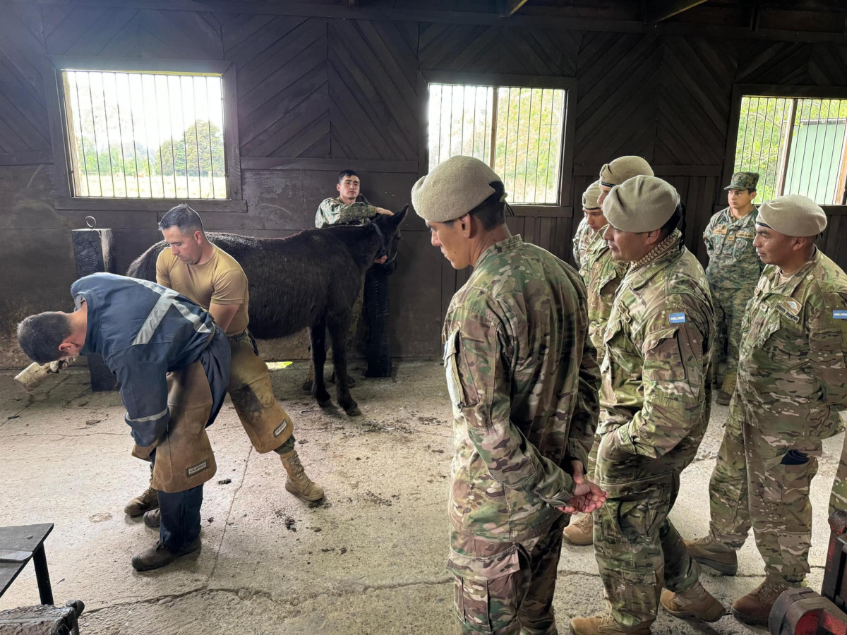 Capacitaciu00f3n de homologaciu00f3n de procedimientos y tu00e9cnicas con ganado mular Firma Eju00e9rcito de Chile 002