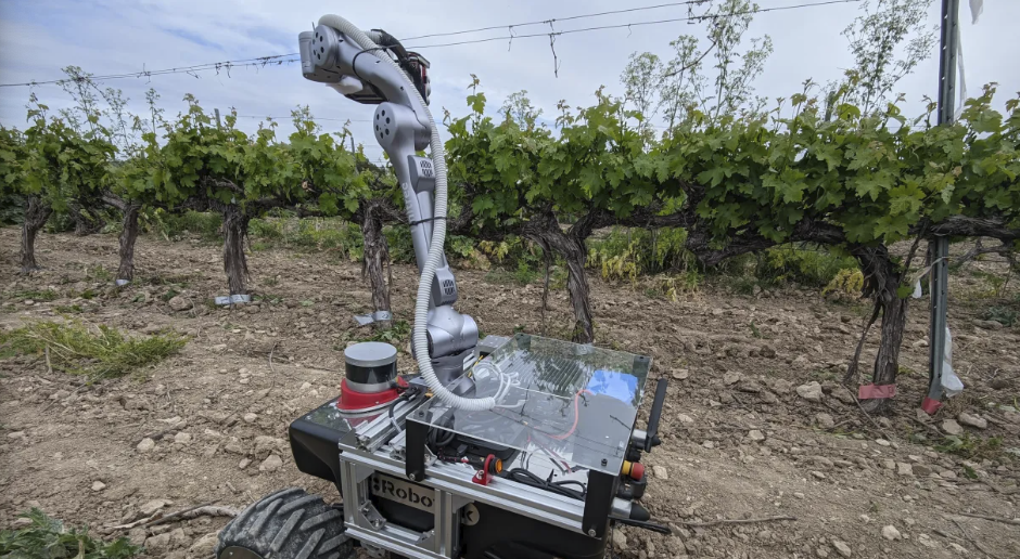 Telefónica analiza viñedos en Toledo con un robot autónomo equipado con cámaras multiespectrales y sensores LiDAR