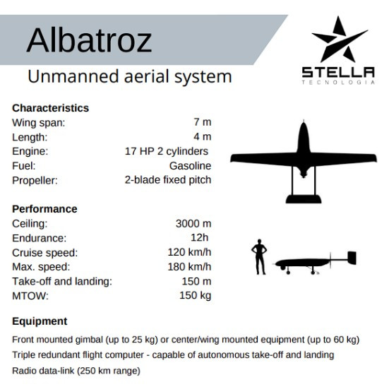 Albatroz stella NAM atlantico3